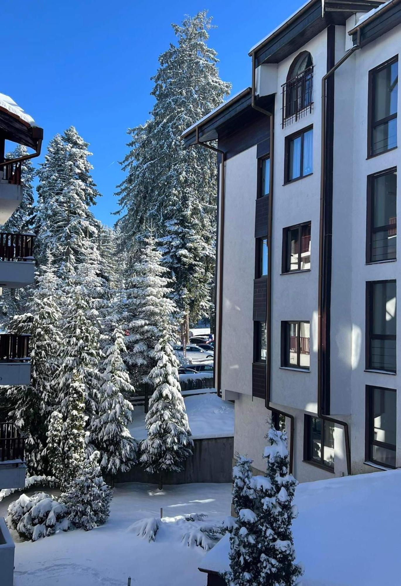 Arboro Flora Residence Studio Боровец Екстер'єр фото