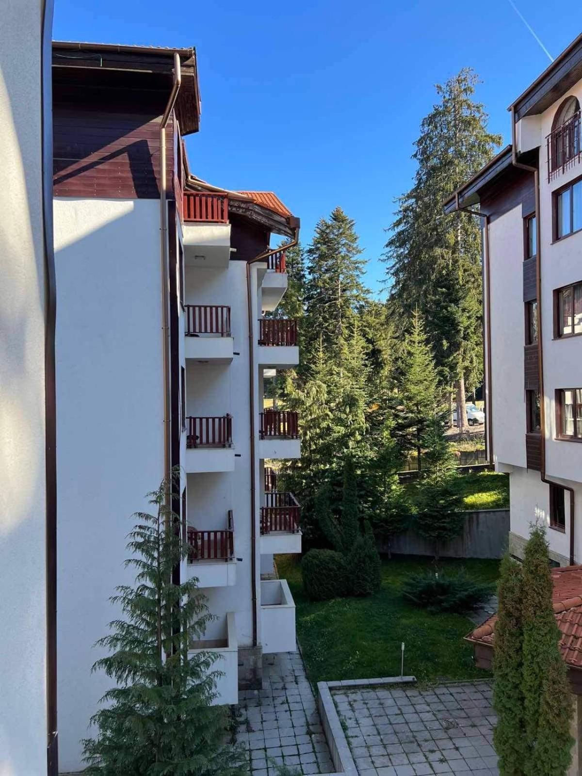 Arboro Flora Residence Studio Боровец Екстер'єр фото